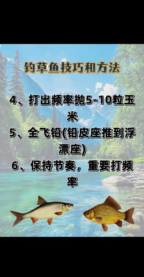 冬季草鱼难钓？这些技巧管用吗？-图1