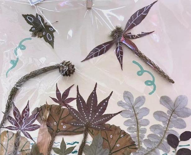 植物标本创意图如何拍出高级感?-图1 植物标本创意图如何拍出高级感?-图1