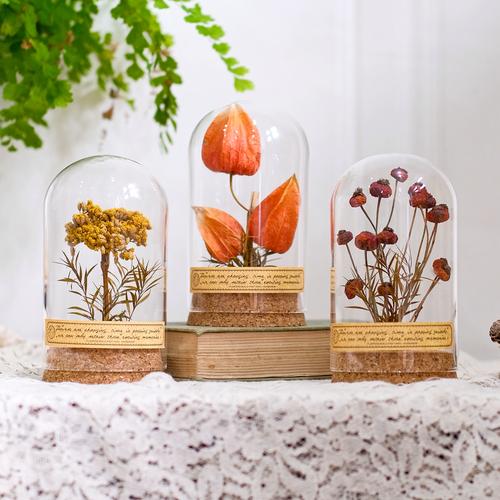 植物标本创意图如何拍出高级感?-图3 植物标本创意图如何拍出高级感?-图3