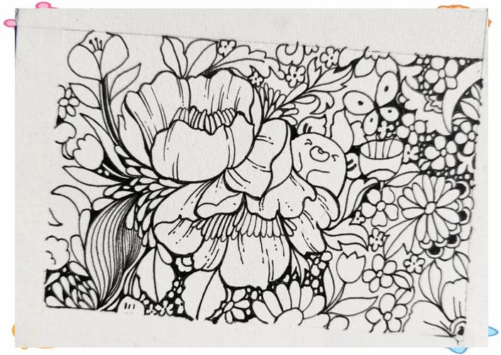 植物黑白创意画，如何用黑白画植物更显创意？-图3