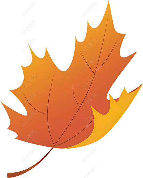 枫叶创意设计图，灵感从何而来？-图3