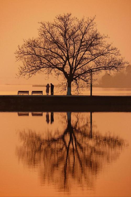 水面倒影如何玩出创意新花样?-图1 水面倒影如何玩出创意新花样?-图1