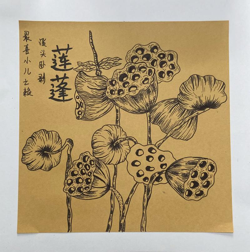 莲蓬创意设计，如何玩转自然灵感？-图3