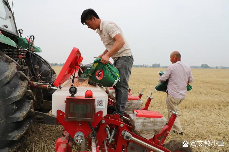 抢种抢收有哪些高效技巧？-图1
