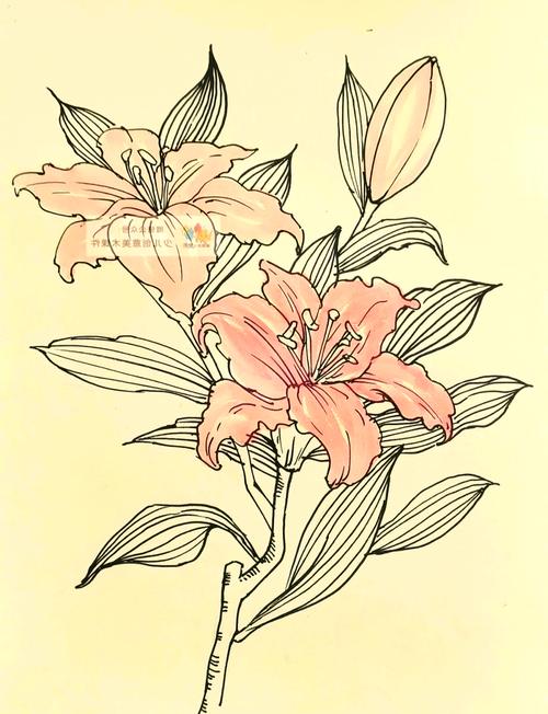 百合创意设计-图1