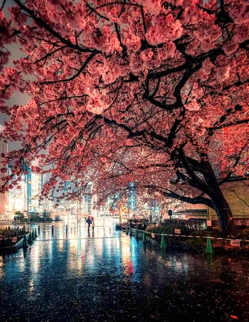 创意摄影城市，如何拍出城市独特灵魂？-图3