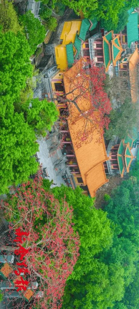 手机摄影技巧 长卷-图3