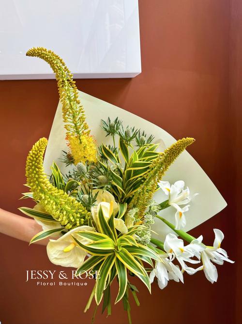 植物如何化身创意作品的灵感源泉？-图1