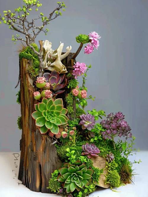 植物如何化身创意作品的灵感源泉？-图3