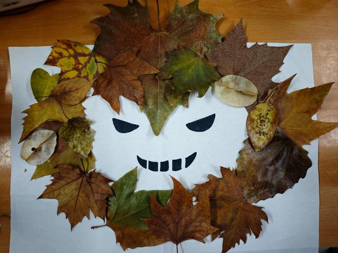 植物如何化身创意作品的灵感源泉？-图2