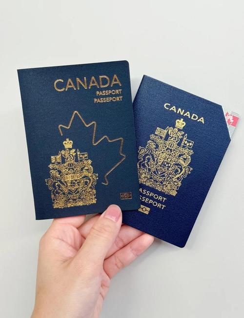 创意美术护照是什么？如何用？-图1