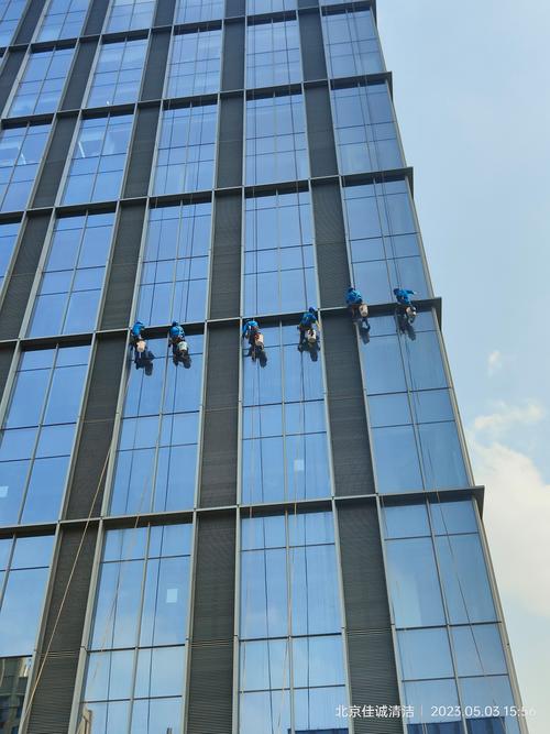 外墙清洗生物技巧-图2 外墙清洗生物技巧-图2