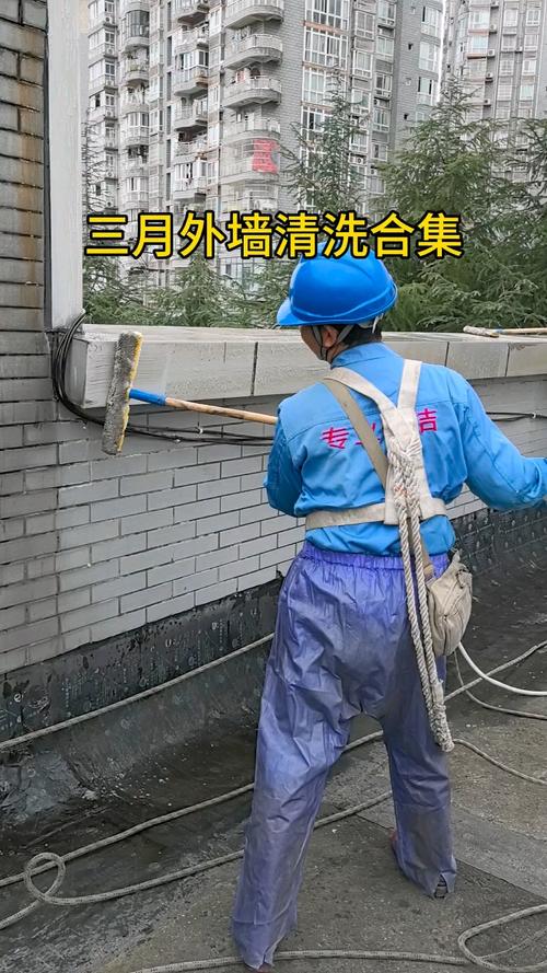 外墙清洗生物技巧-图1 外墙清洗生物技巧-图1