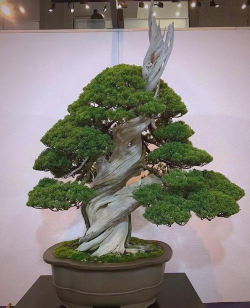 松柏创意，如何点亮品牌新灵感？-图3