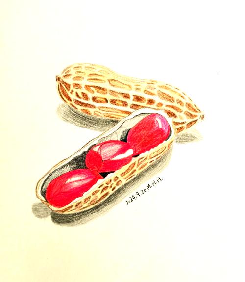 花生创意画？花生壳也能画画吗？-图1