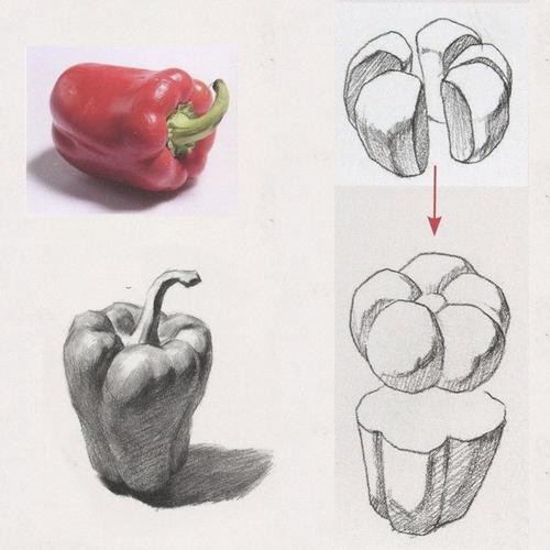 创意素描青椒-图1