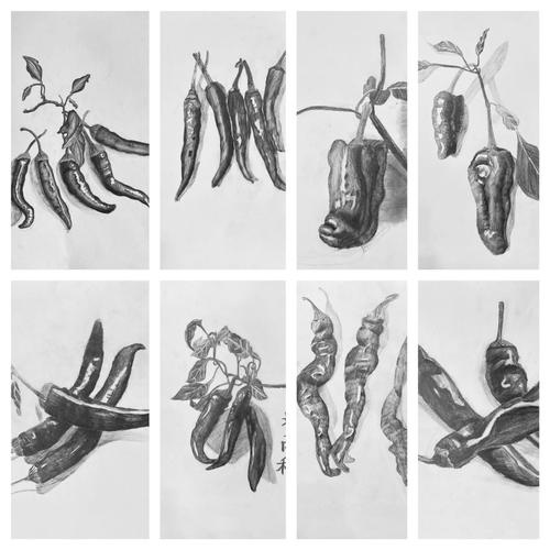 创意素描青椒-图3