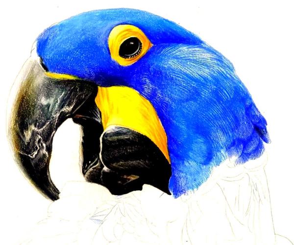 创意彩铅画-图3 创意彩铅画-图3