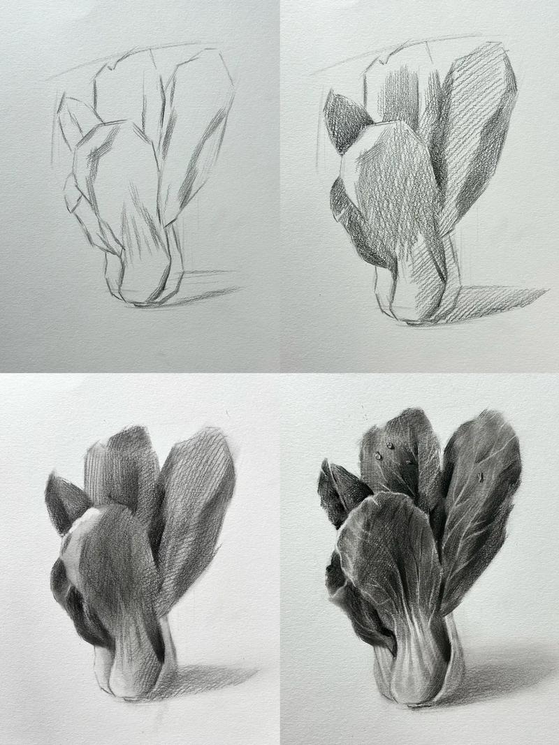 蔬菜创意素描-图1