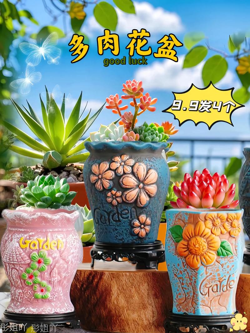多肉创意花盆图片-图1 多肉创意花盆图片-图1