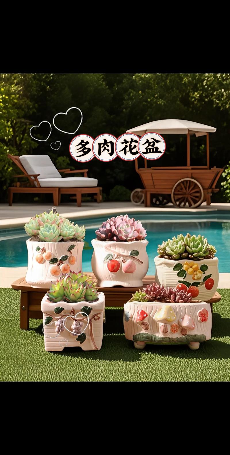 多肉创意花盆图片-图3 多肉创意花盆图片-图3