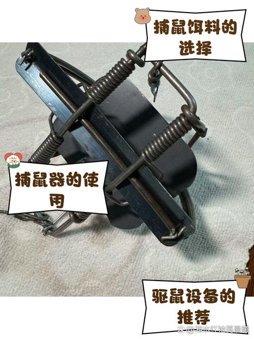 下獾夹子技巧-图2