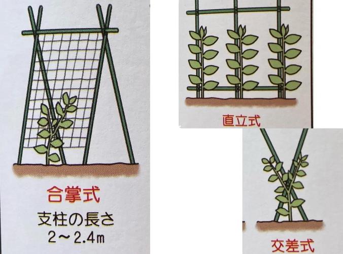 技巧搭架子-图1 技巧搭架子-图1