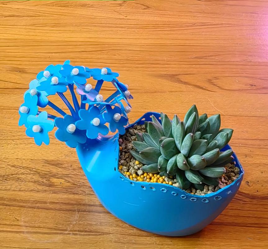 创意手工盆栽-图1 创意手工盆栽-图1