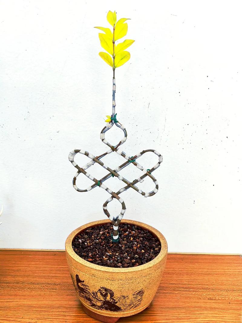 创意手工盆栽-图3 创意手工盆栽-图3